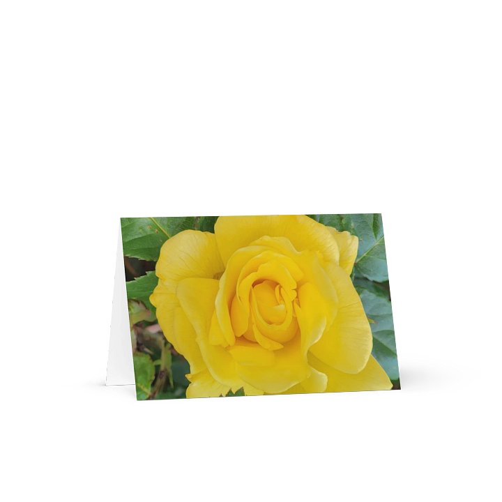 Sunshine Rose Greeting Card product image (1)