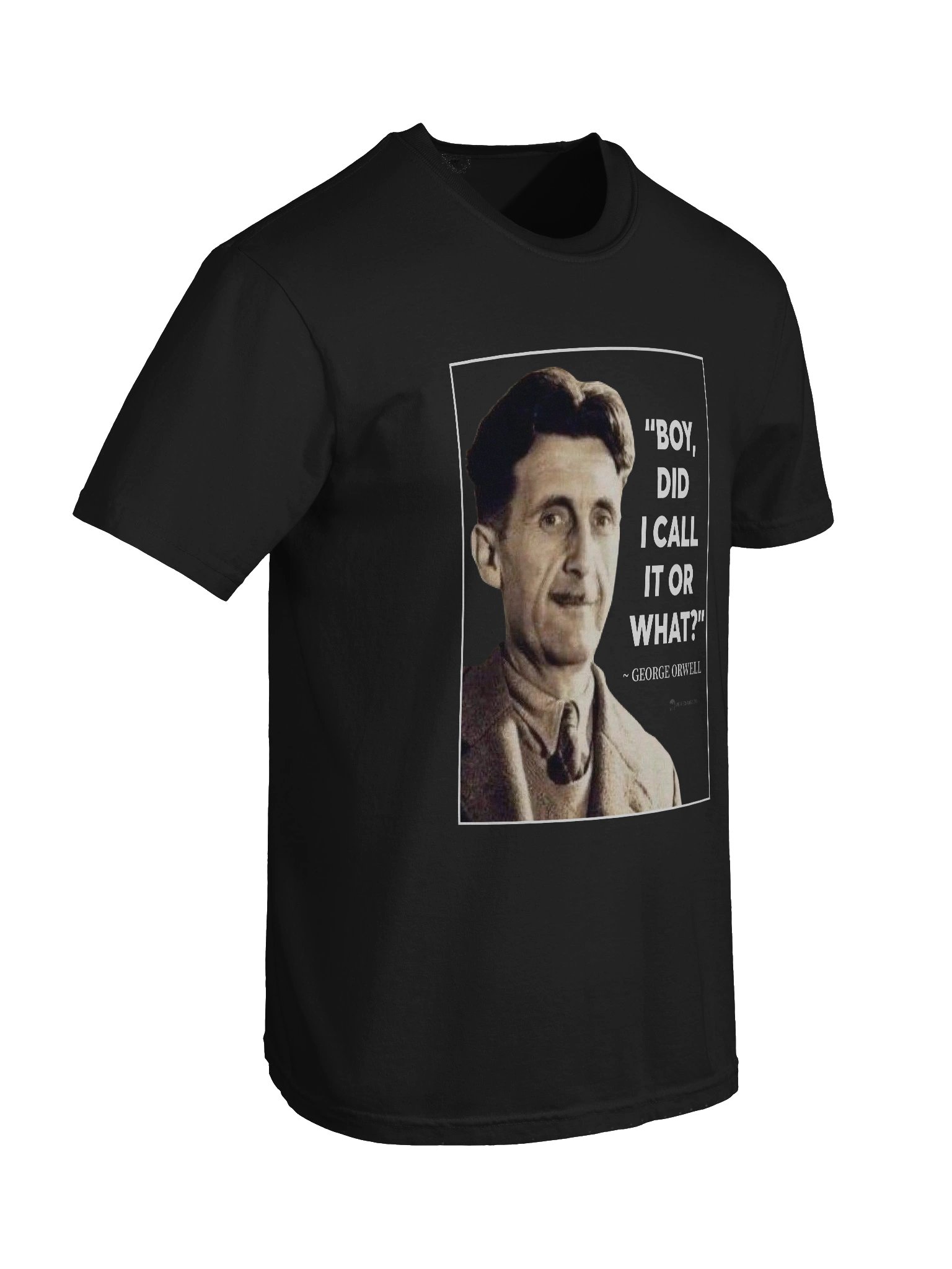 Orwell Called It product image (8)