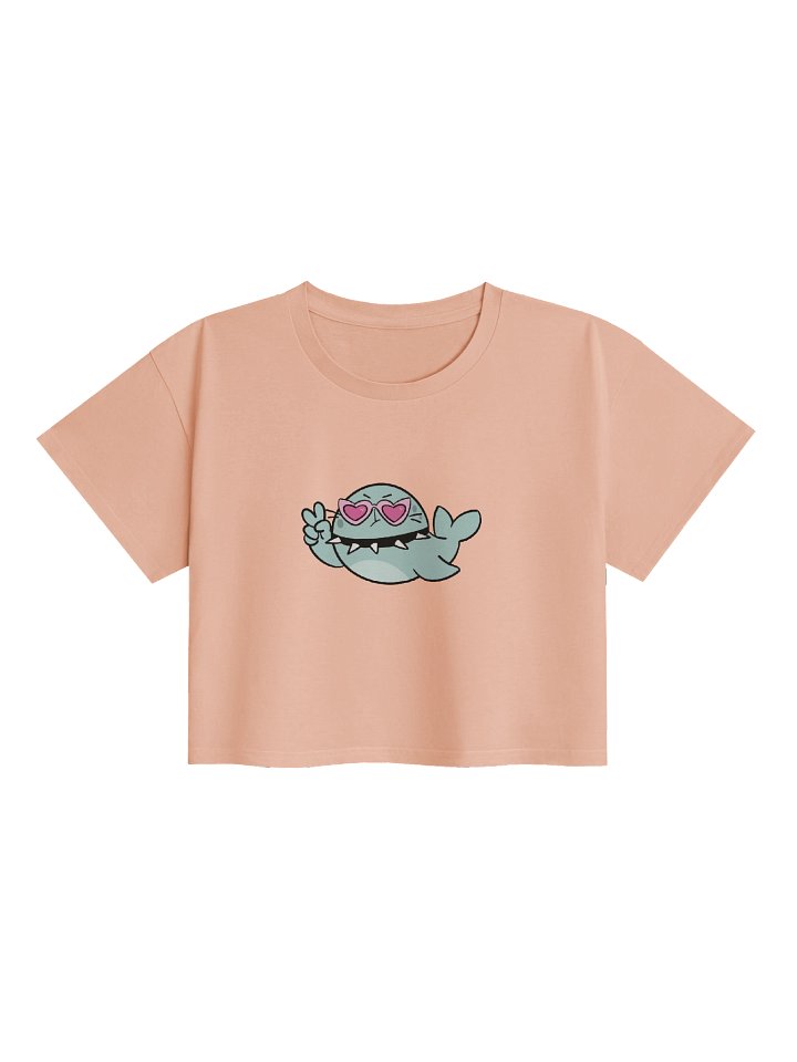 Winifred Star- Crop Top product image (1)