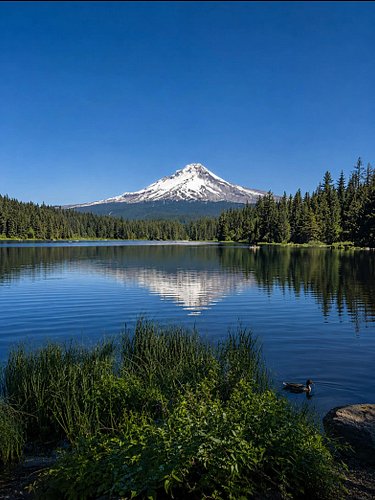 Trillium Lake
