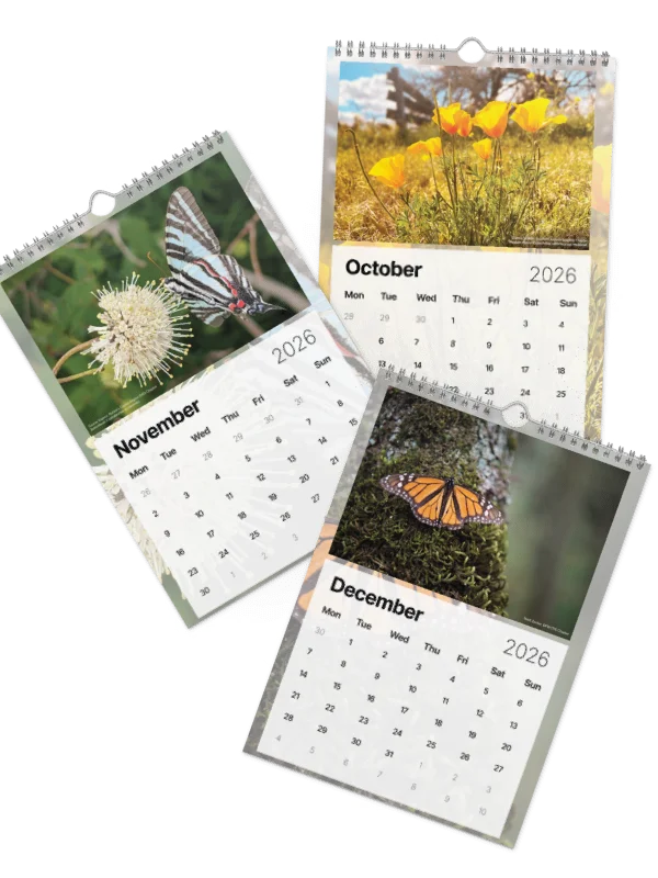 2026 Wall Calendar product image (5)