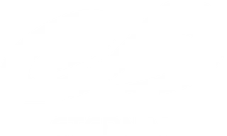 Eternal Racing