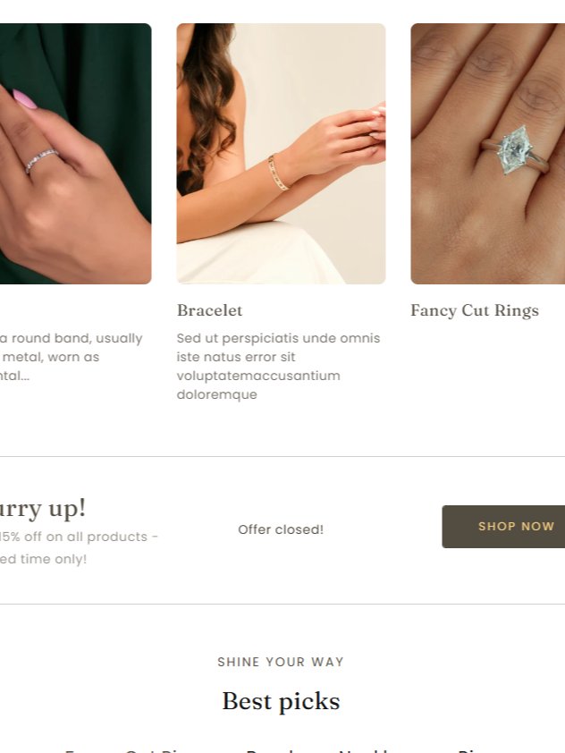 Shopify Vivid Pro product image (2)