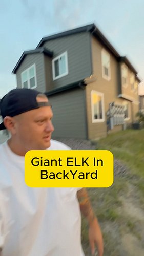 These dudes live in our backyard…. They scare me sometimes as I forget they are there.