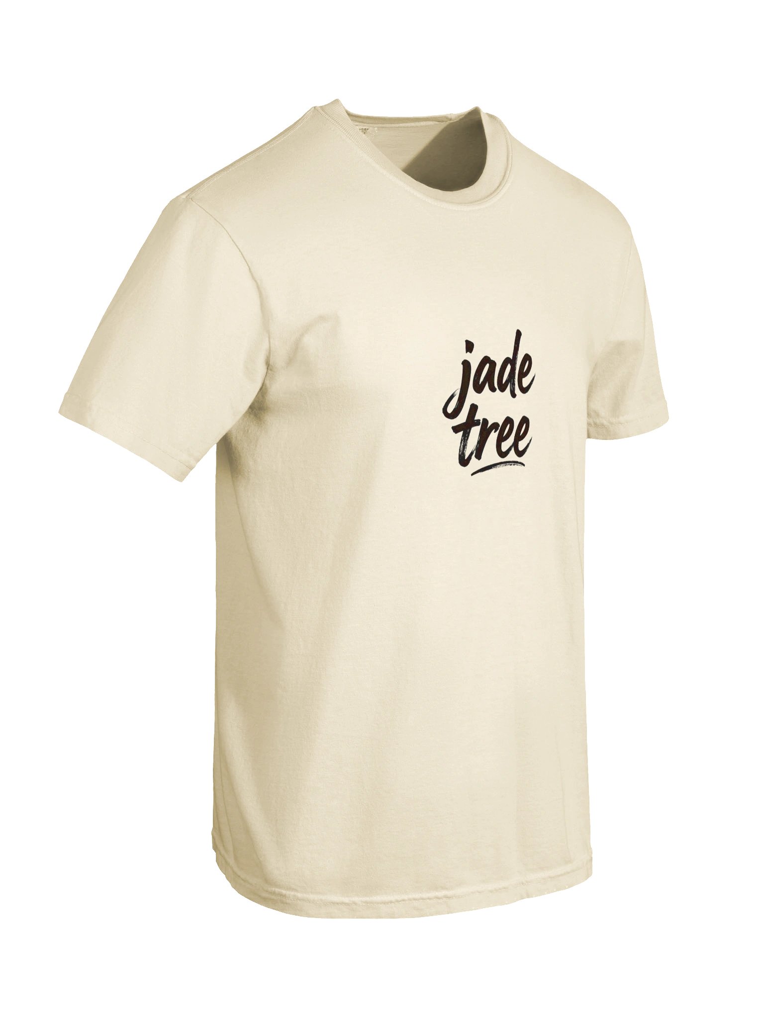 Comfort Colors Heavyweight T-Shirt - Black Logo product image (6)