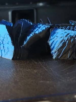 raven #btcherrybt #3dprinting #blueraevin 