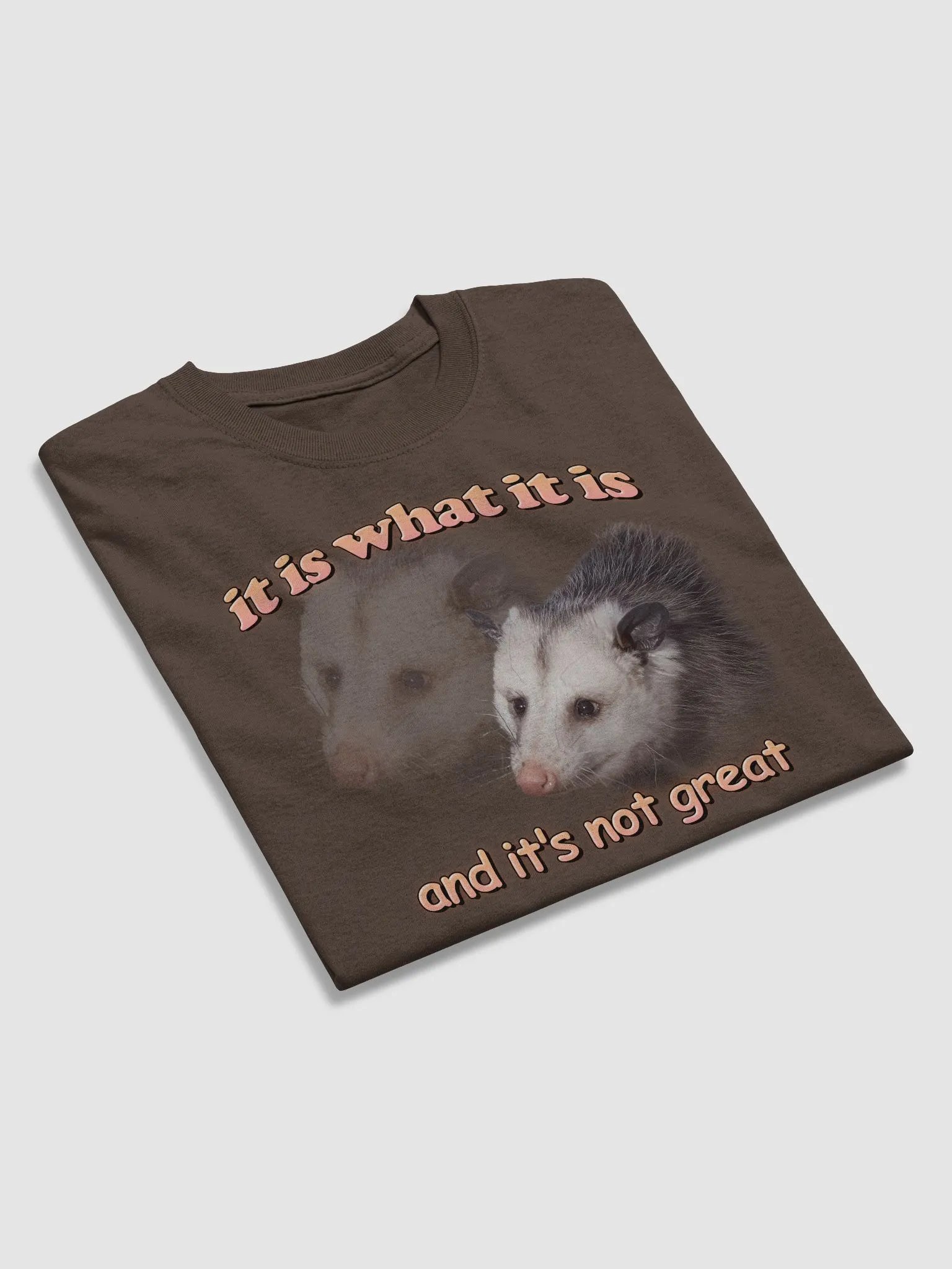 It is what it is (and it's not great) possum T-shirt product image (27)
