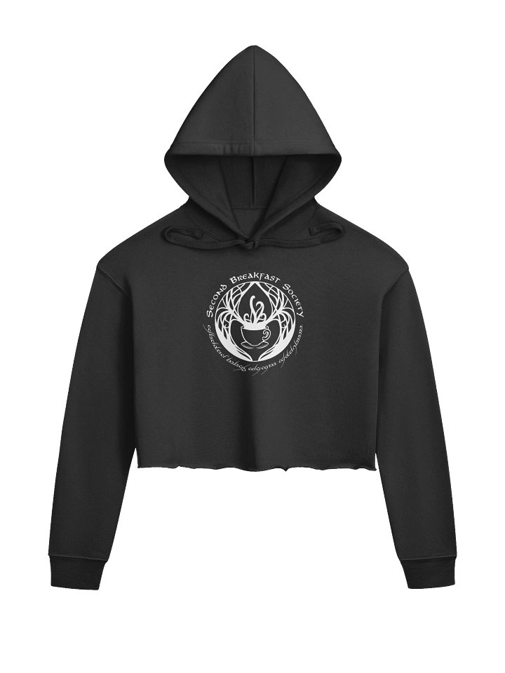 SBS Crop Hoodie product image (1)