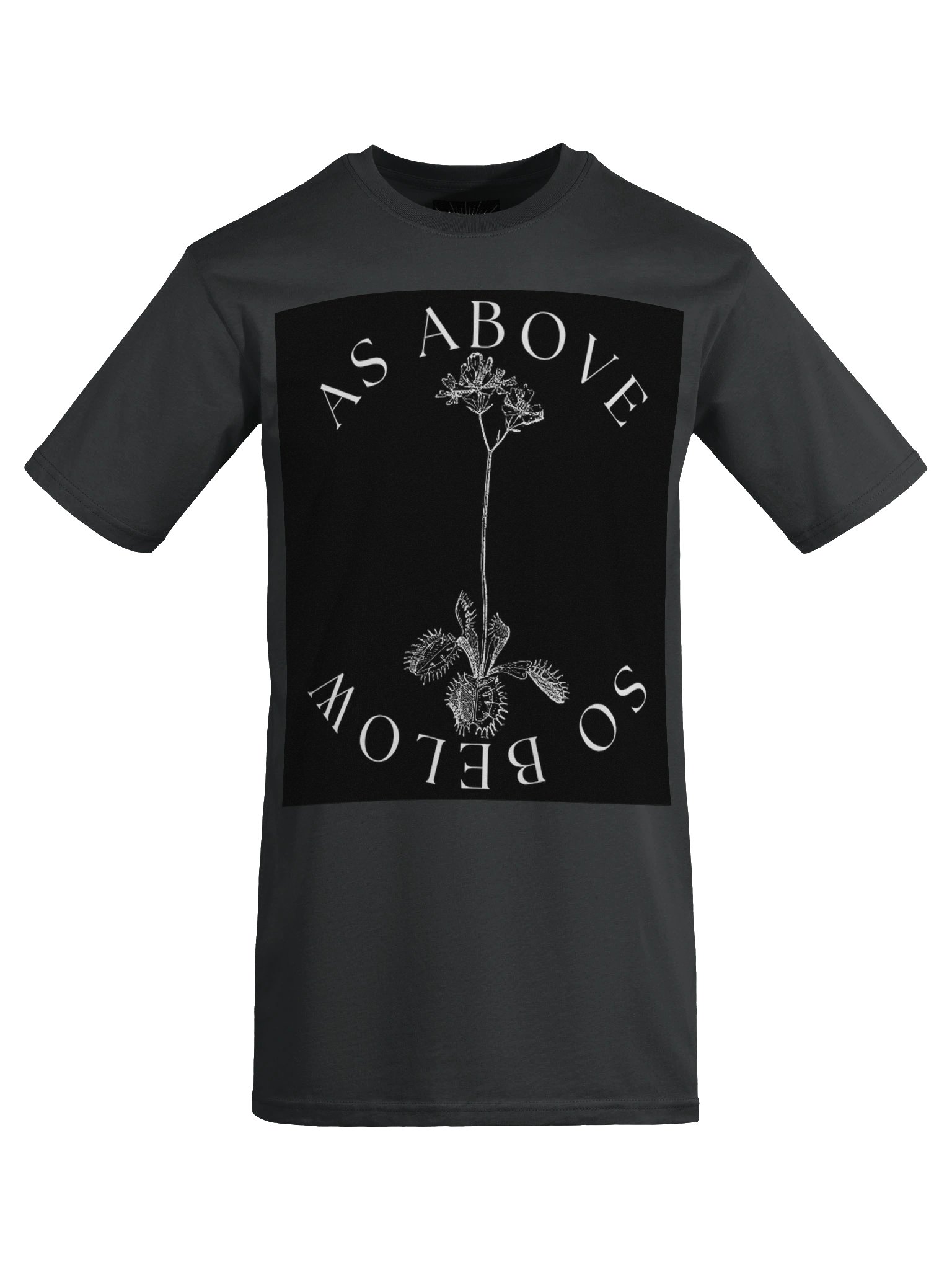 AS ABOVE, SO BELOW TEE product image (7)