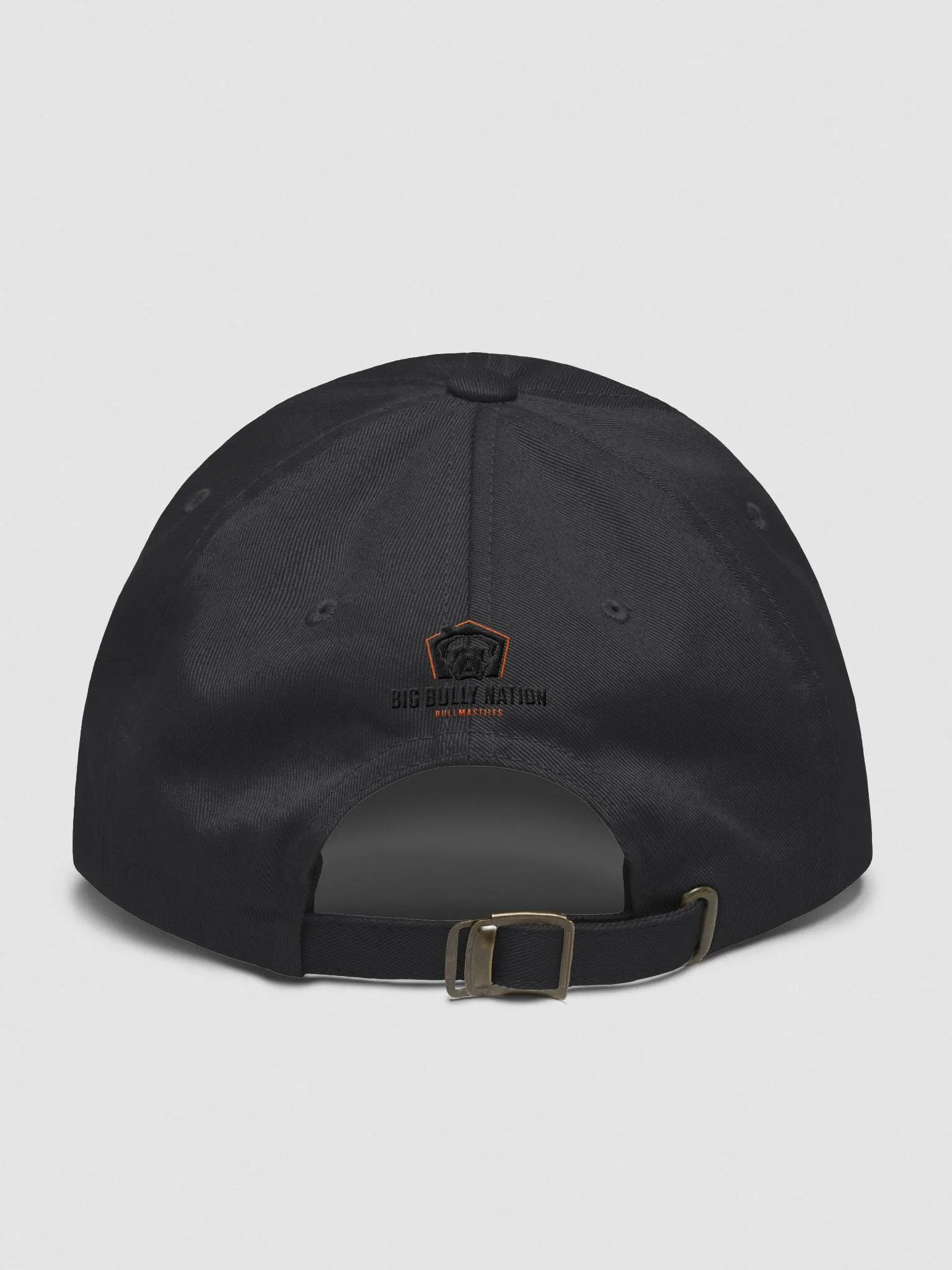 BBN Logo 1 Dad Hat product image (13)