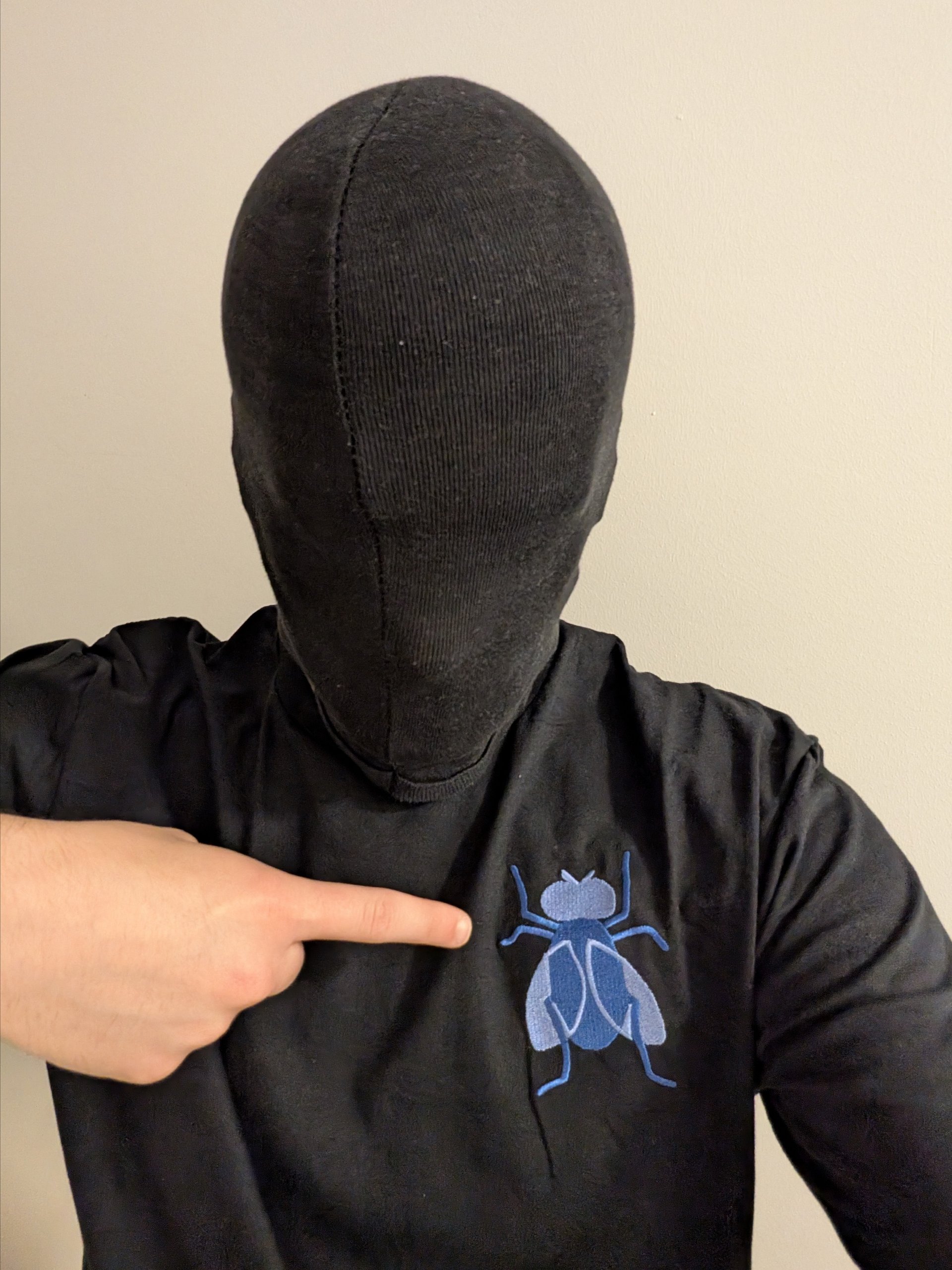 A Fly in the Void product image (1)