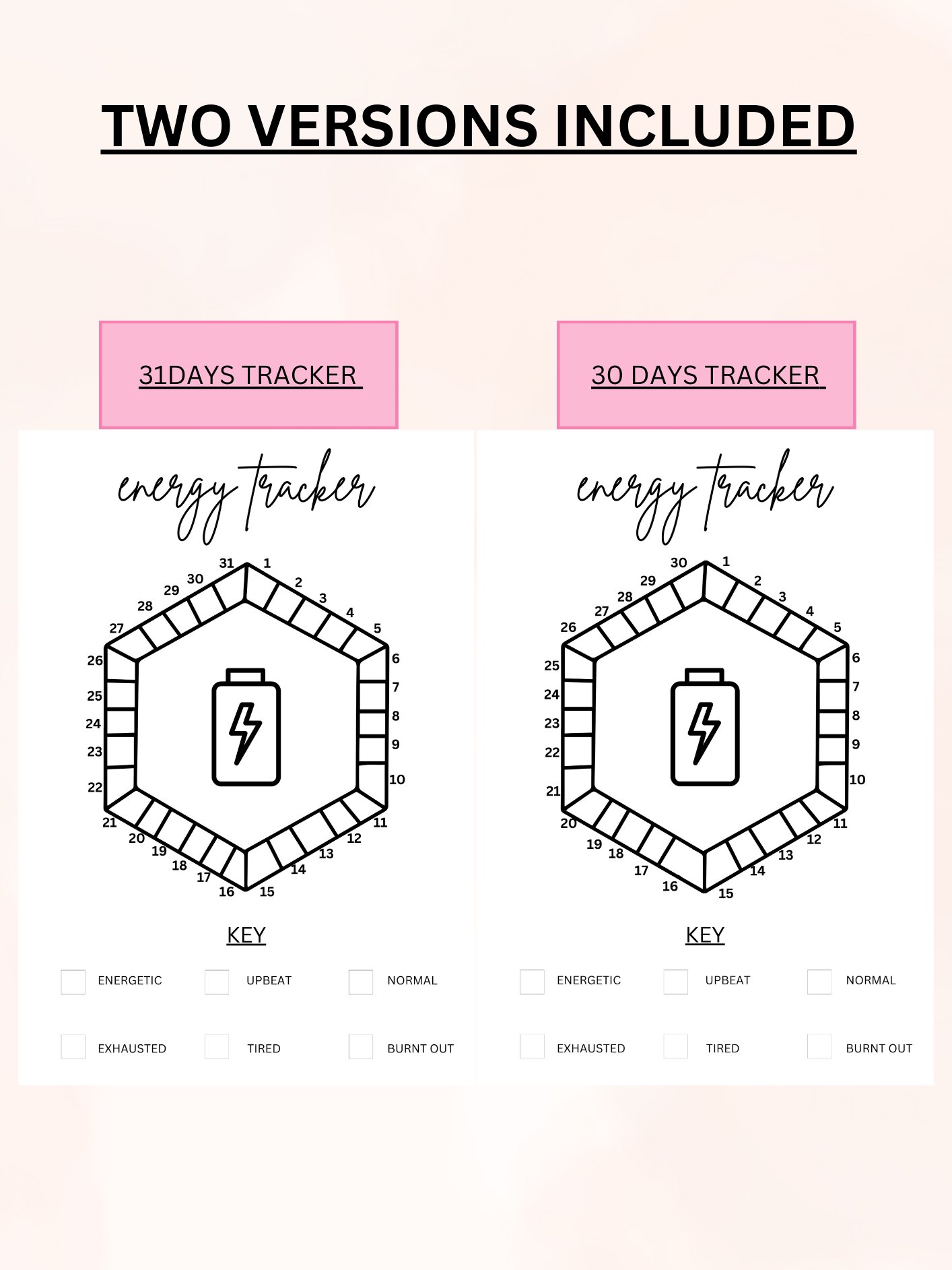 Monthly Energy Tracker product image (4)