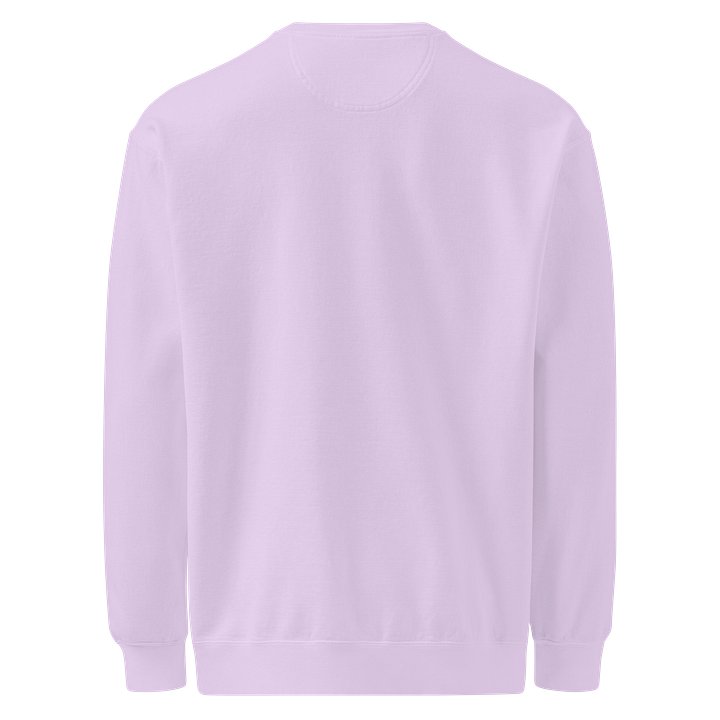 Family Med Comfort Colors Crewneck product image (14)