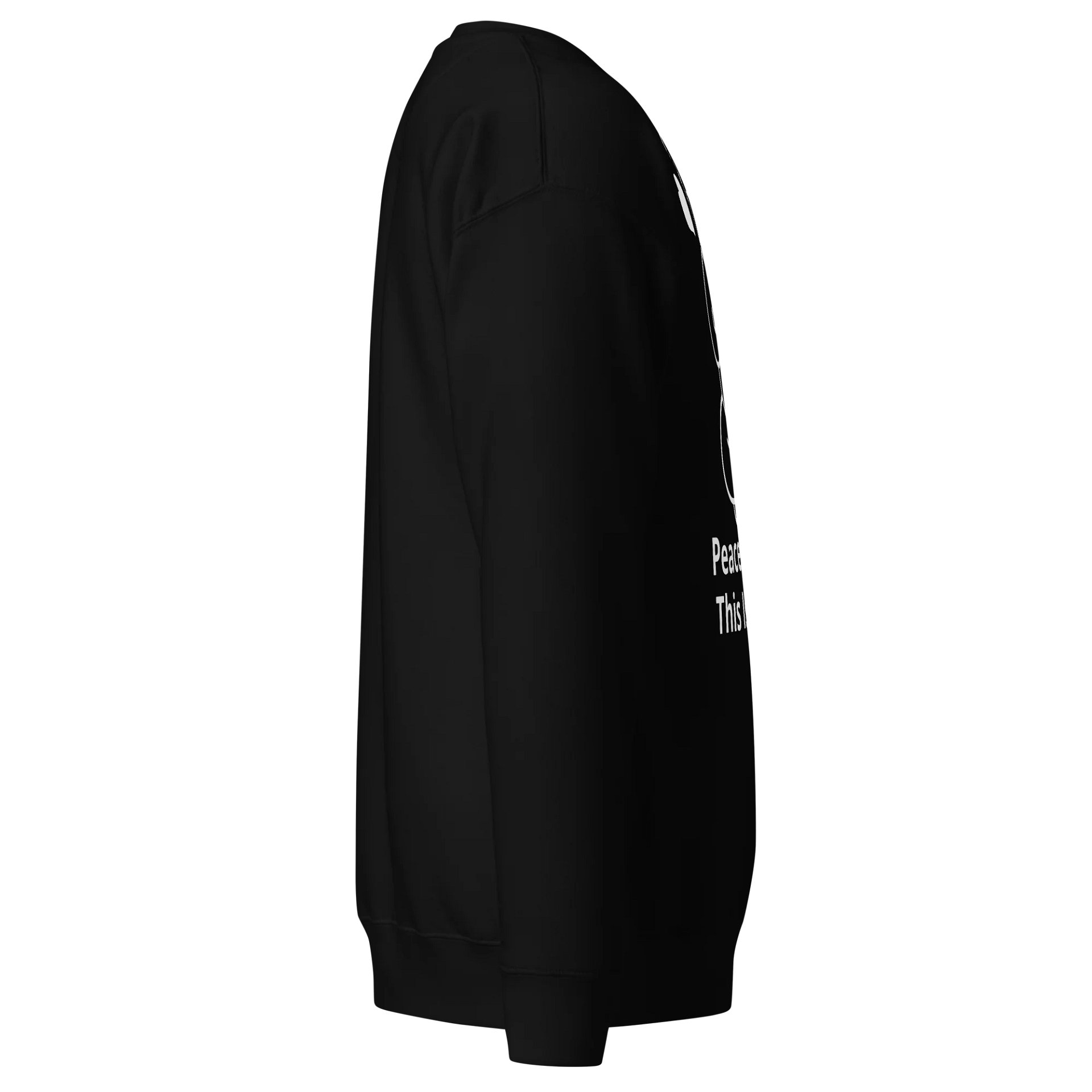 Dynamic Mouse Cartoon Premium Sweatshirt product image (2)