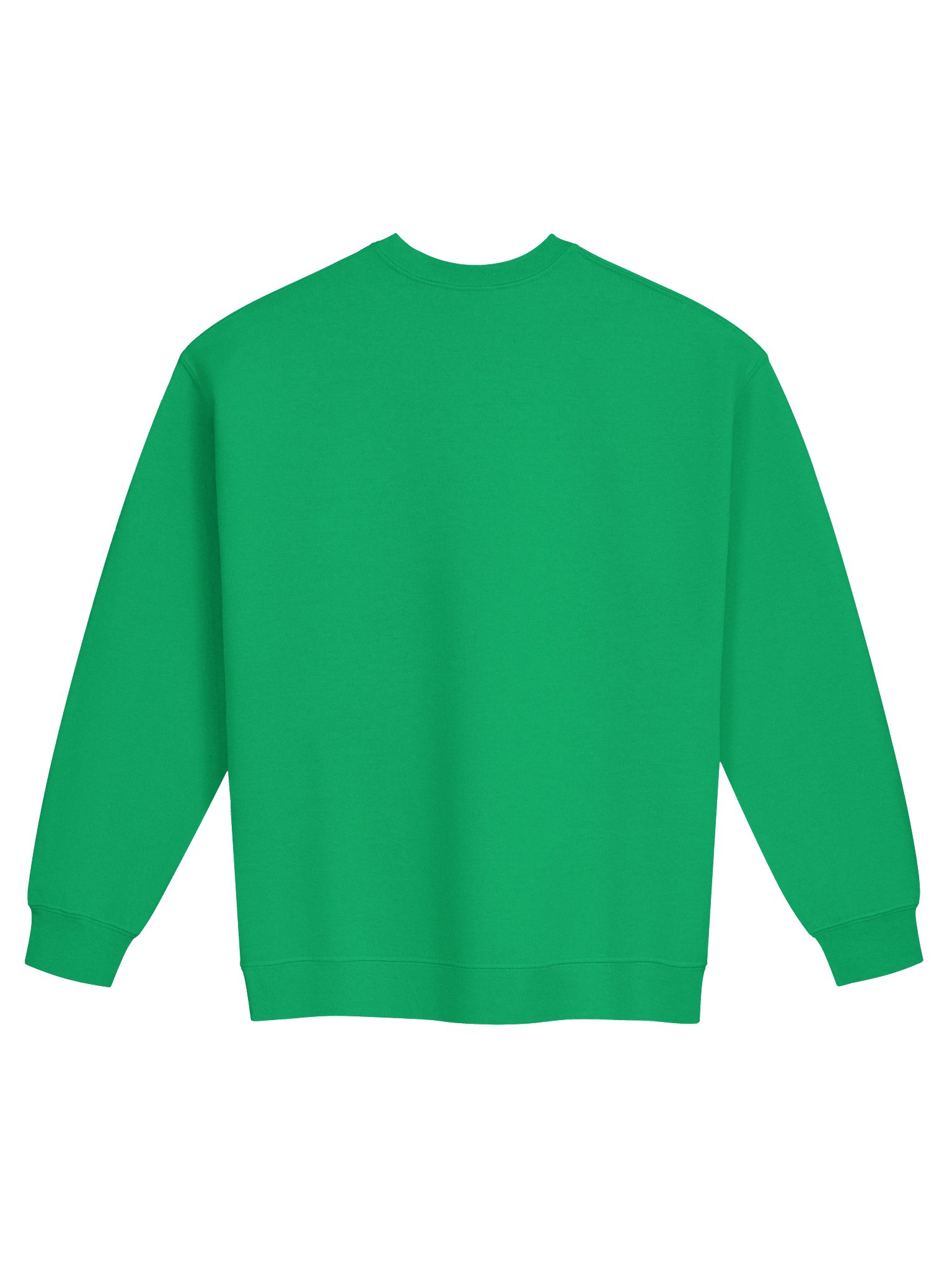 Speak Irish To Me - Labhair Gaeilge Liom ☘️ Embroidered Classic Sweatshirt in Irish Green product image (3)