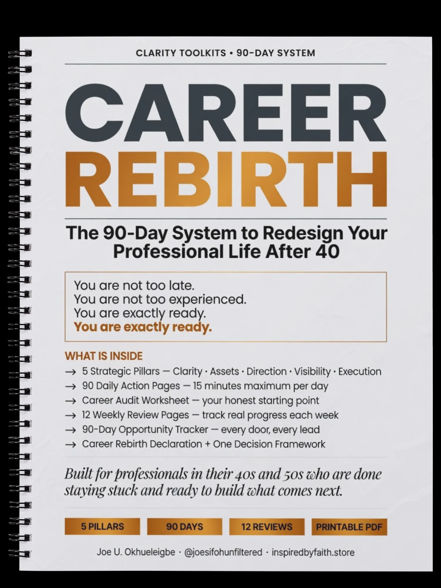 Next Chapter After 40 | 90-Day Career Change System for Professionals product image (1)