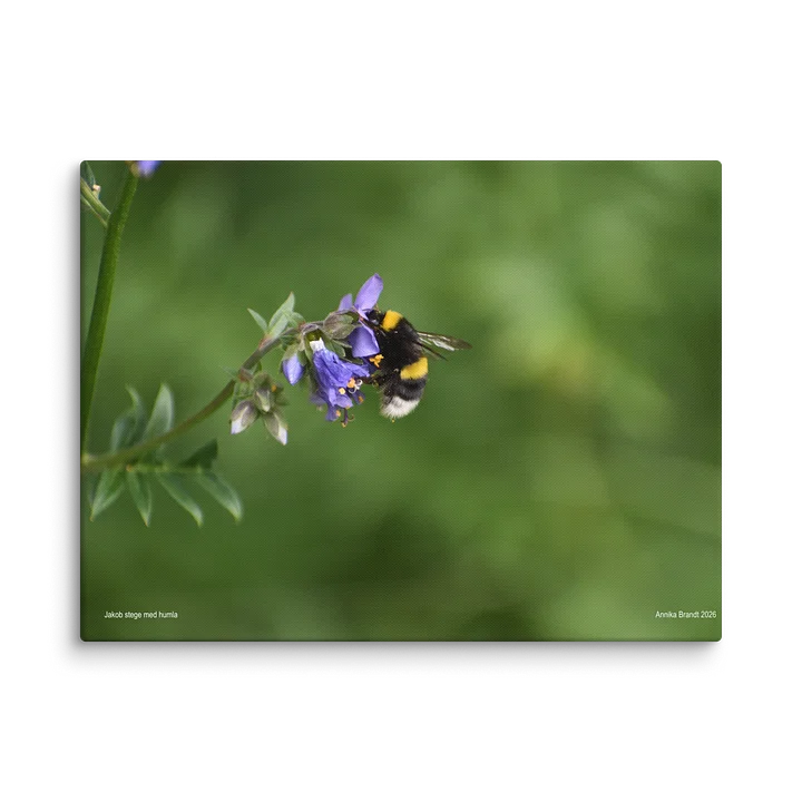 Canvas: Jakobs stege med humla product image (2)