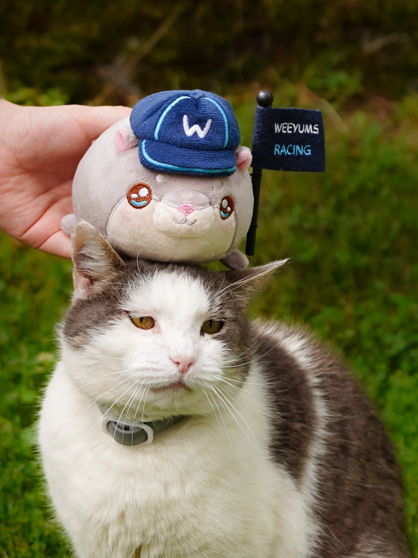 Go Weeyums! Plushie product image (6)