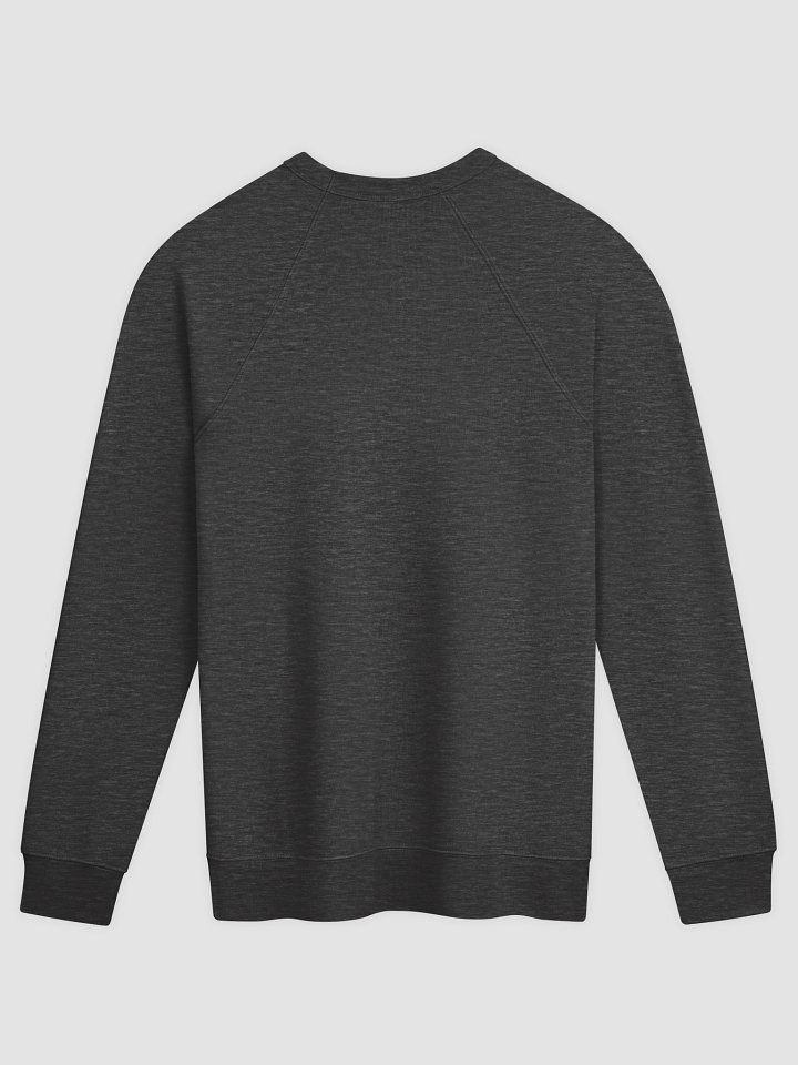 Women's Raglan Sweatshirt product image (5)