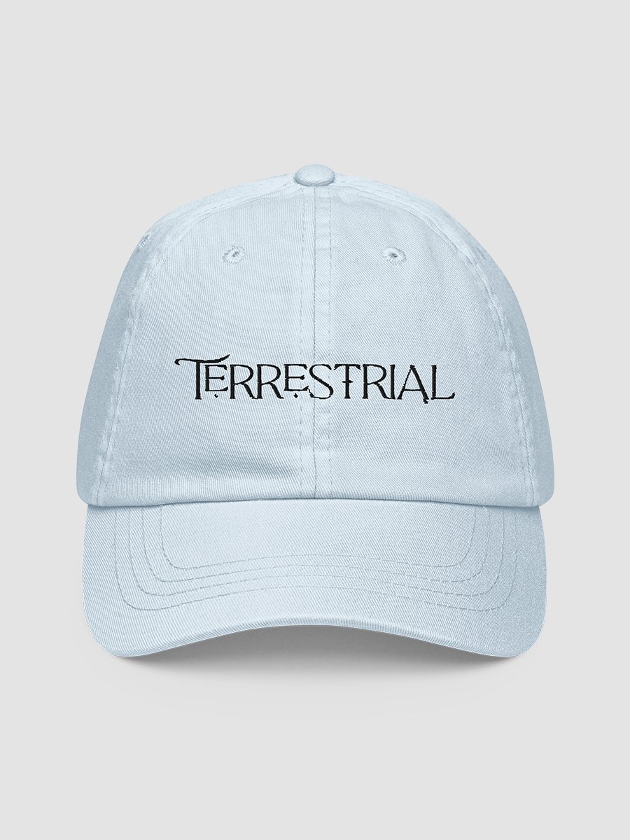 Terrestrial Logo Hat product image (4)