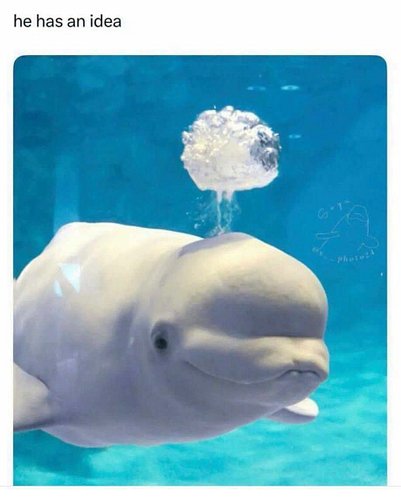 😂😂😂🥰🥰🥰