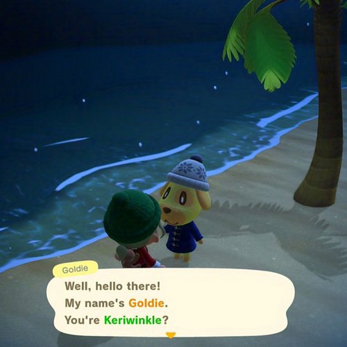 After YEARS of trying, I finally found Goldie!! This will now be my forever island. 

#animalcrossingnewhorizons #acnh #cozyg...