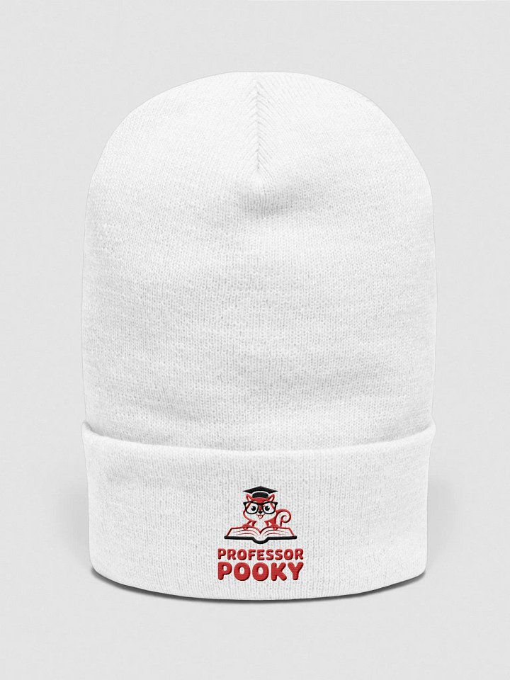 Professor Pooky Cuffed Beanie product image (1)