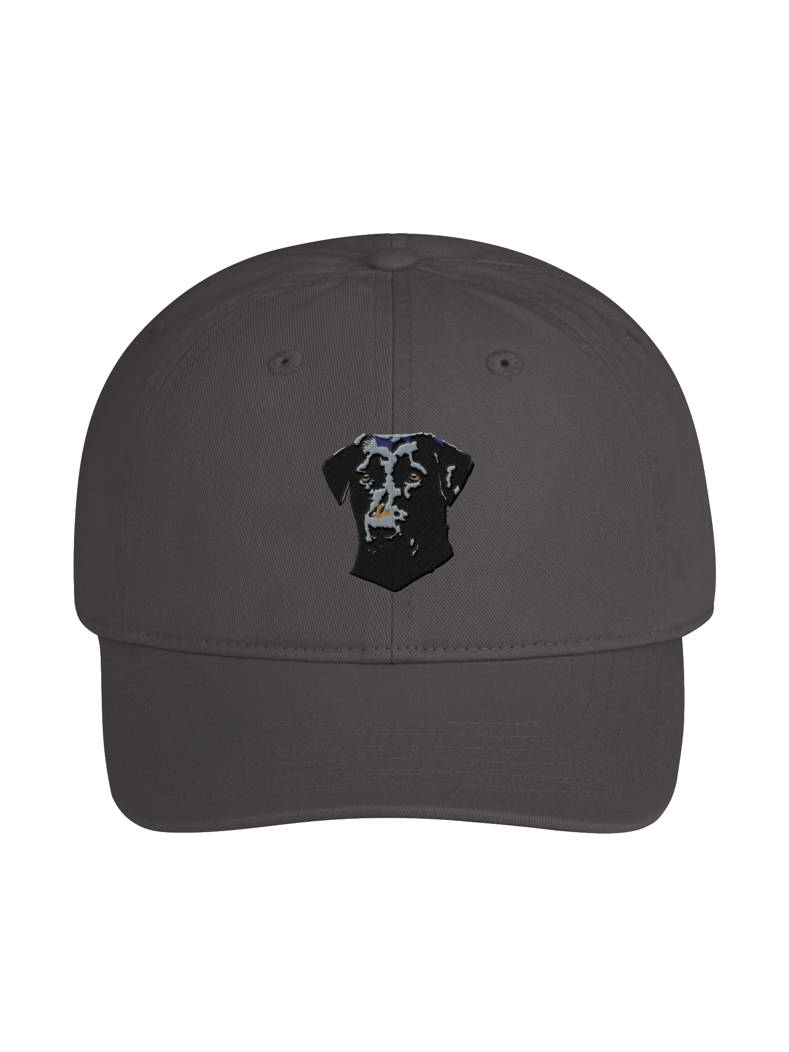 Lab dad cap product image (1)