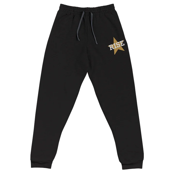 RISE Embroidered Joggers product image (2)