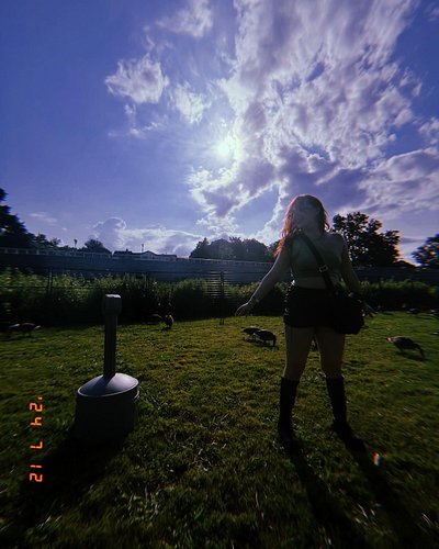 Look at all those chickens 🪿👀
•
•
•
 #420 #green #canada #geese #streetstyle #twitchstreamer #gamergirl #kickstreamer #egirl ...