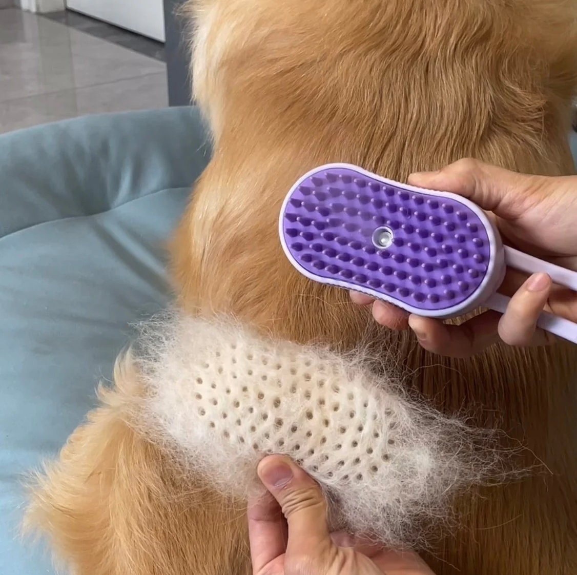 Pet Misting Brush product image (7)