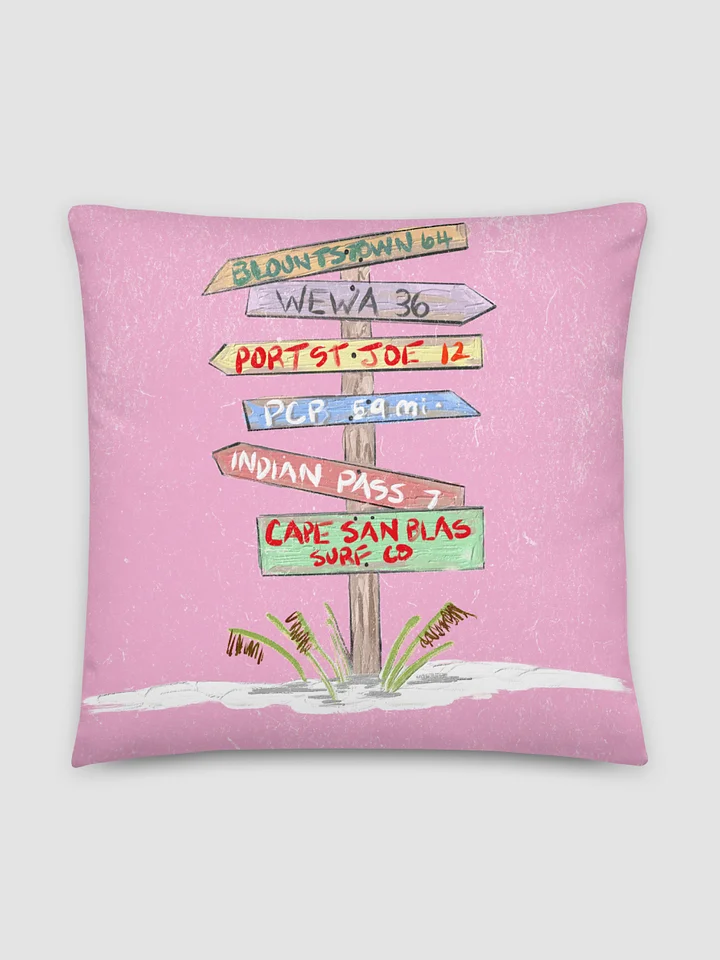This must be the Place Pillow product image (2)