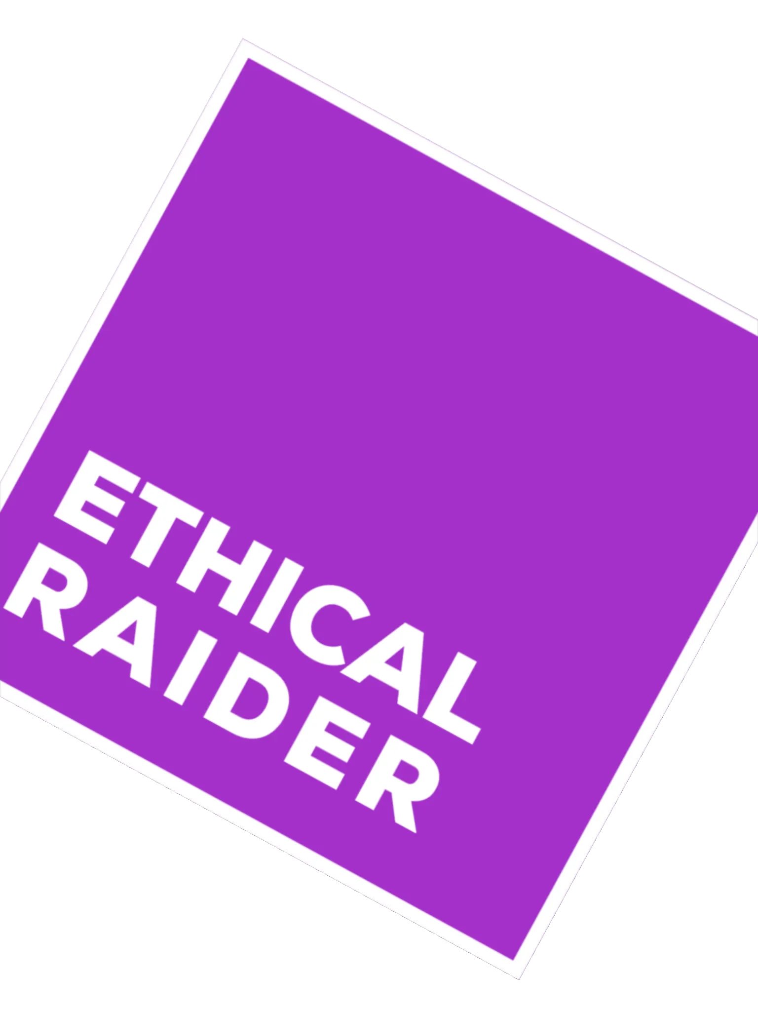 Ethical Raider (DH Purple) Sticker product image (3)