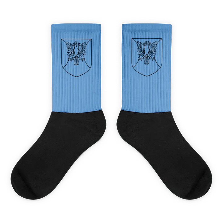 Black Colorless Emblem Socks product image (1)
