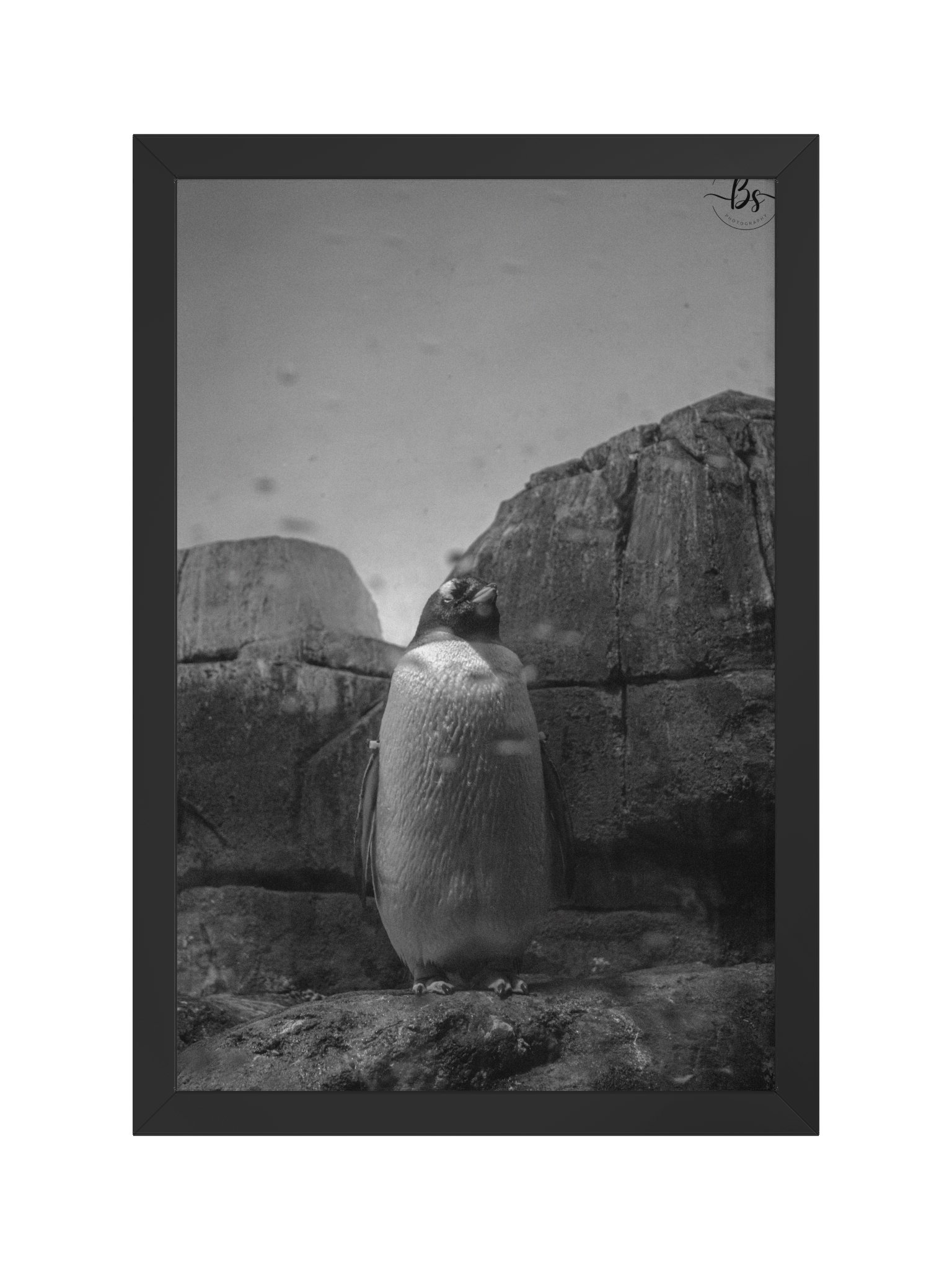 Standing tall product image (1)