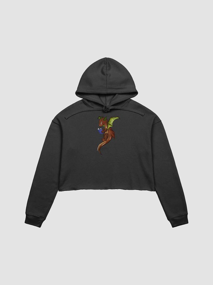 Henry with Book Crop Hoodie product image (1)