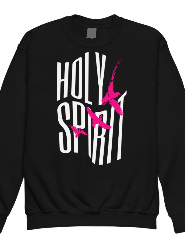 Holy Spirit Flight Youth Sweatshirt product image (1)