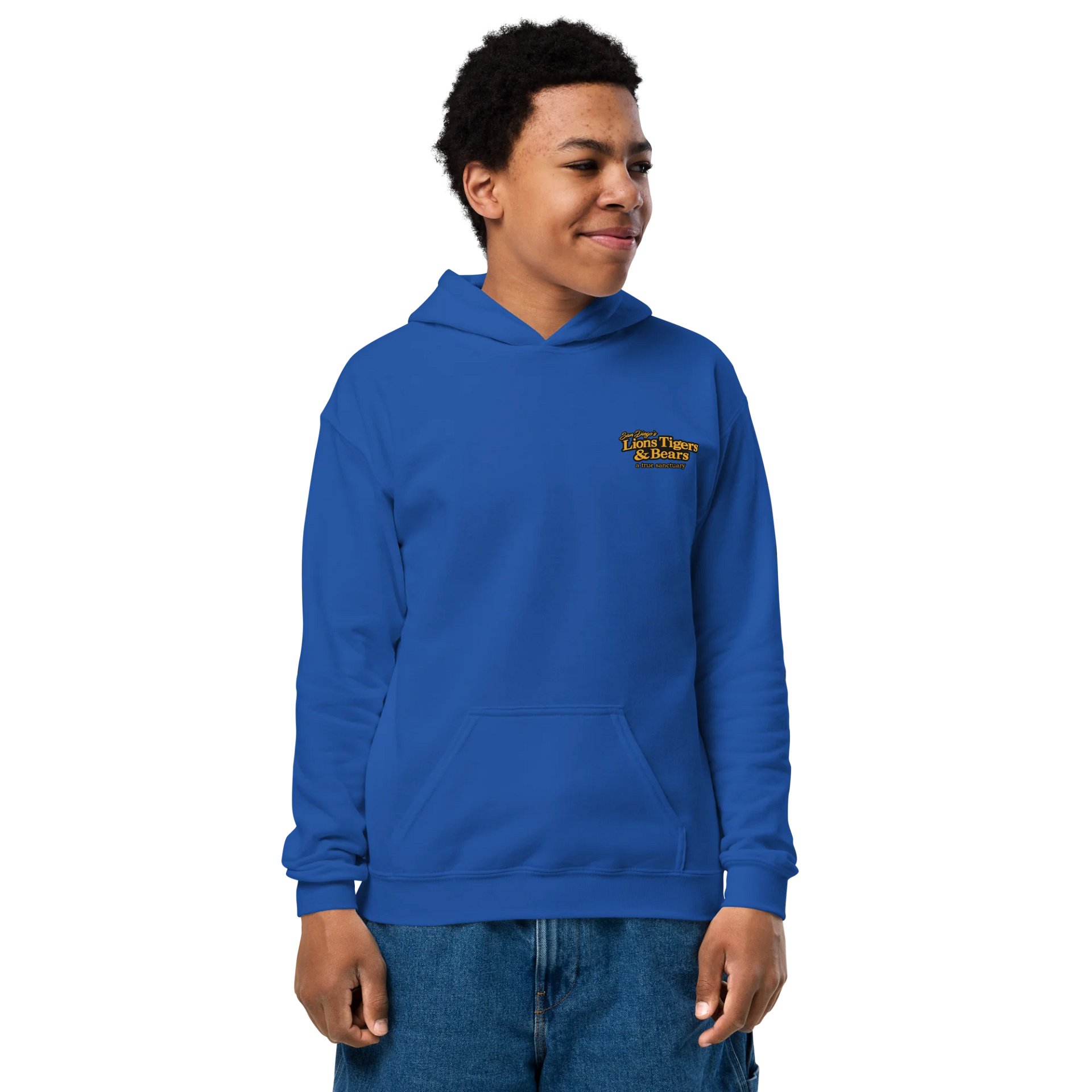 Lioness Art Youth Hoodie product image (2)