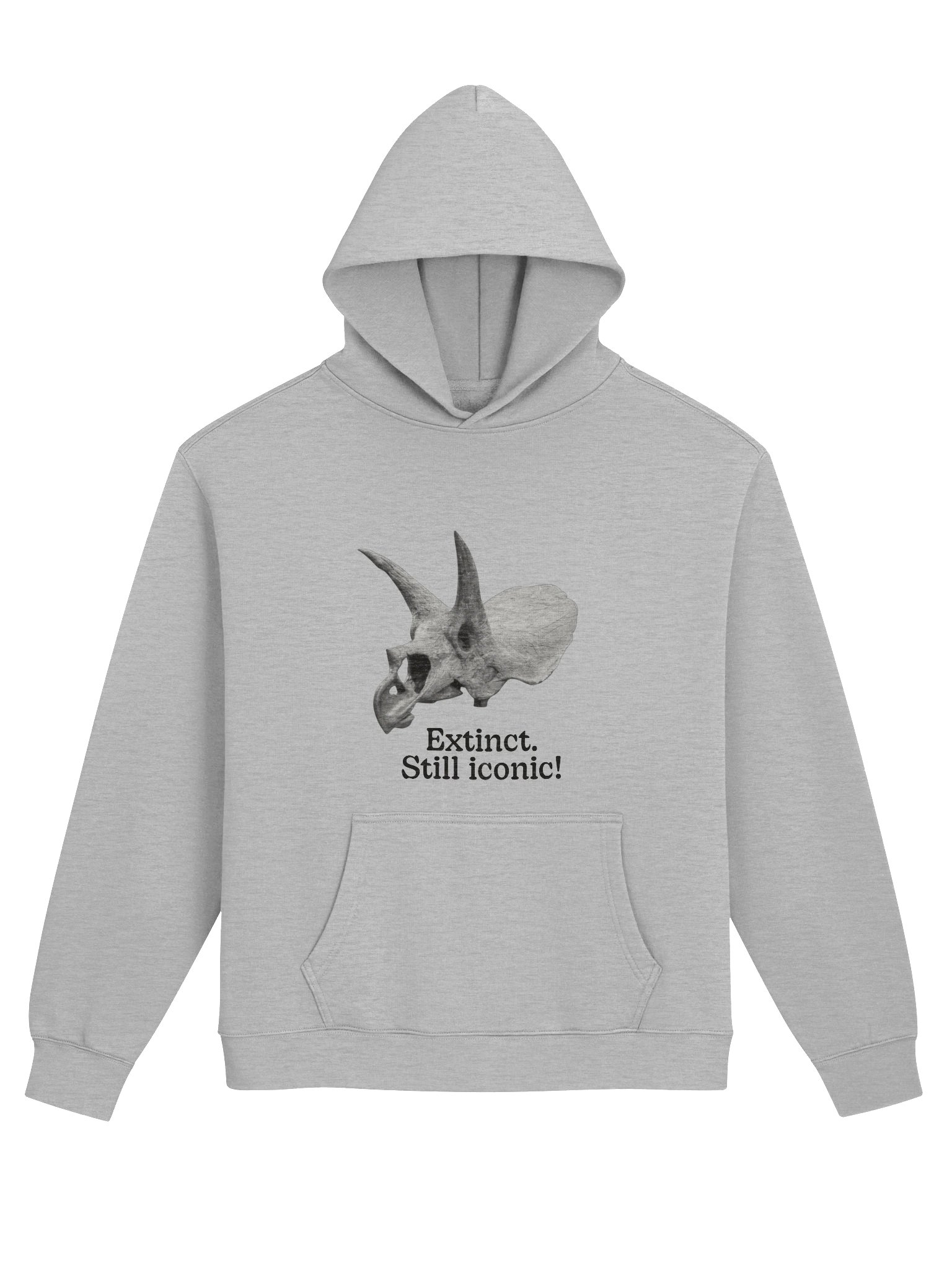 Dinosaur Hoodie – Extinct Still Iconic | Oversized Unisex Hoodie Gift product image (1)
