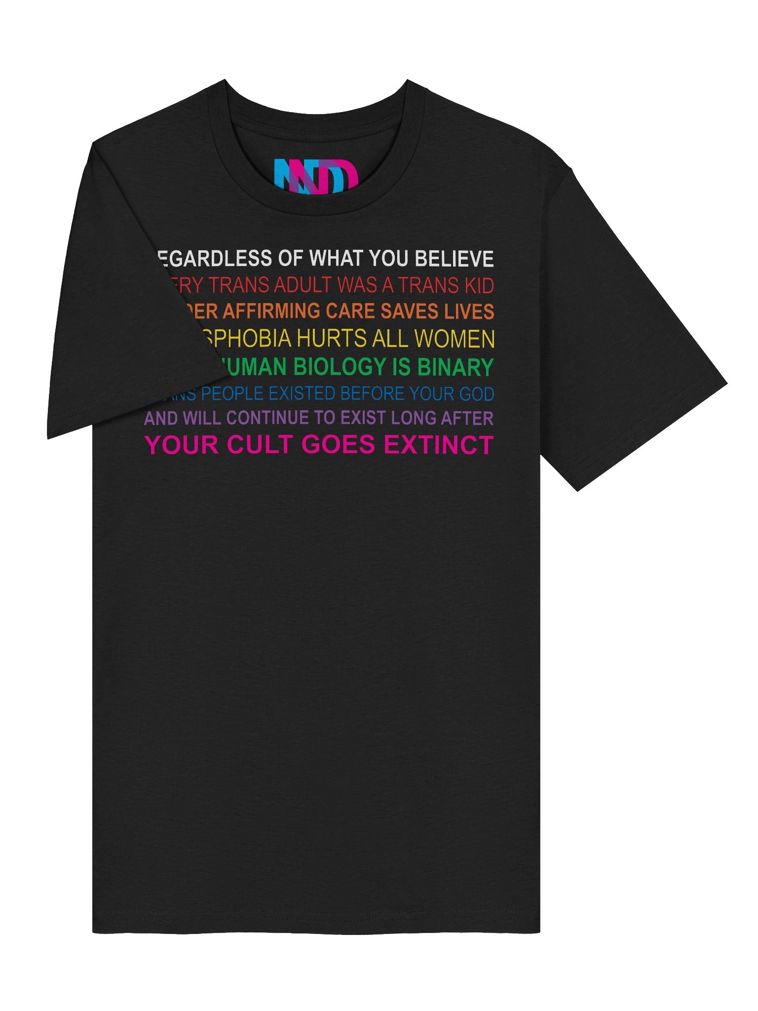 Regardless of What You Believe Tee product image (8)