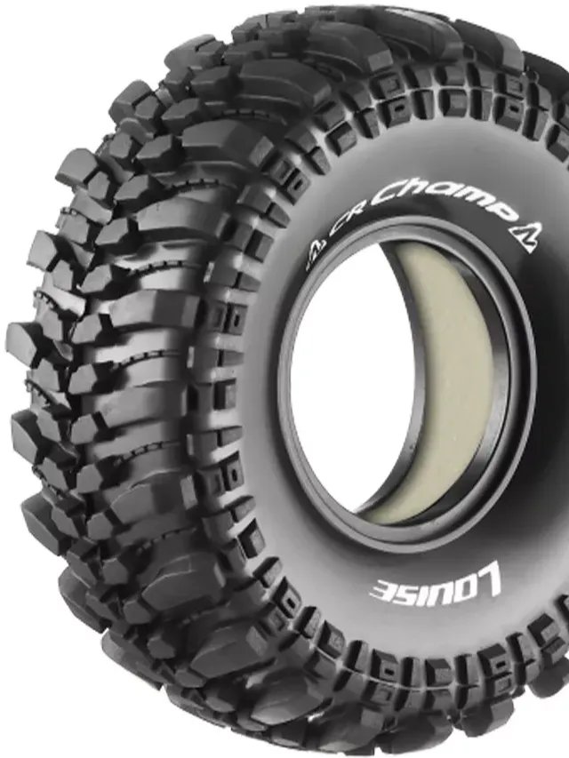 1.9 Louise CR Champs - Slonski product image (1)