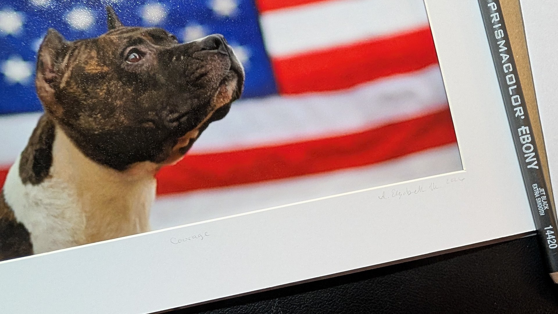 Courage Limited Edition Print – American Pit Bull Terrier USA Flag (Signed 5x7 matted 8x10) product image (1)