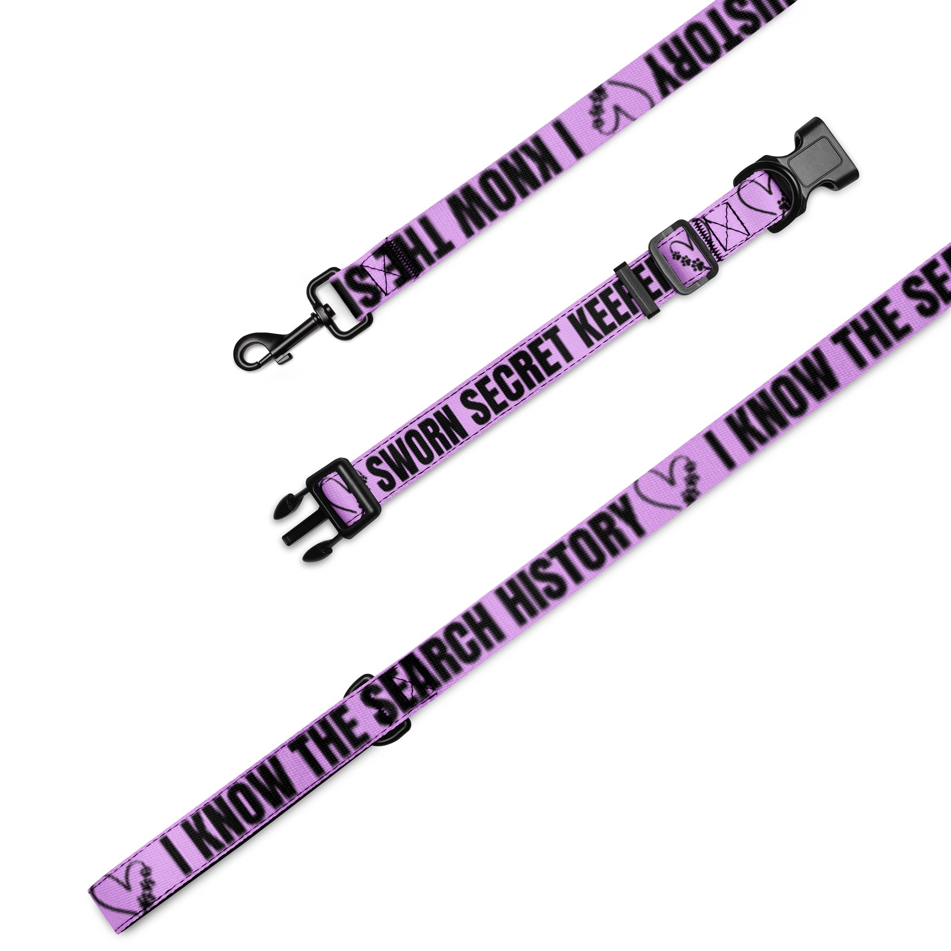 Sworn Secret Keeper Dog Collar & Leash Set product image (1)