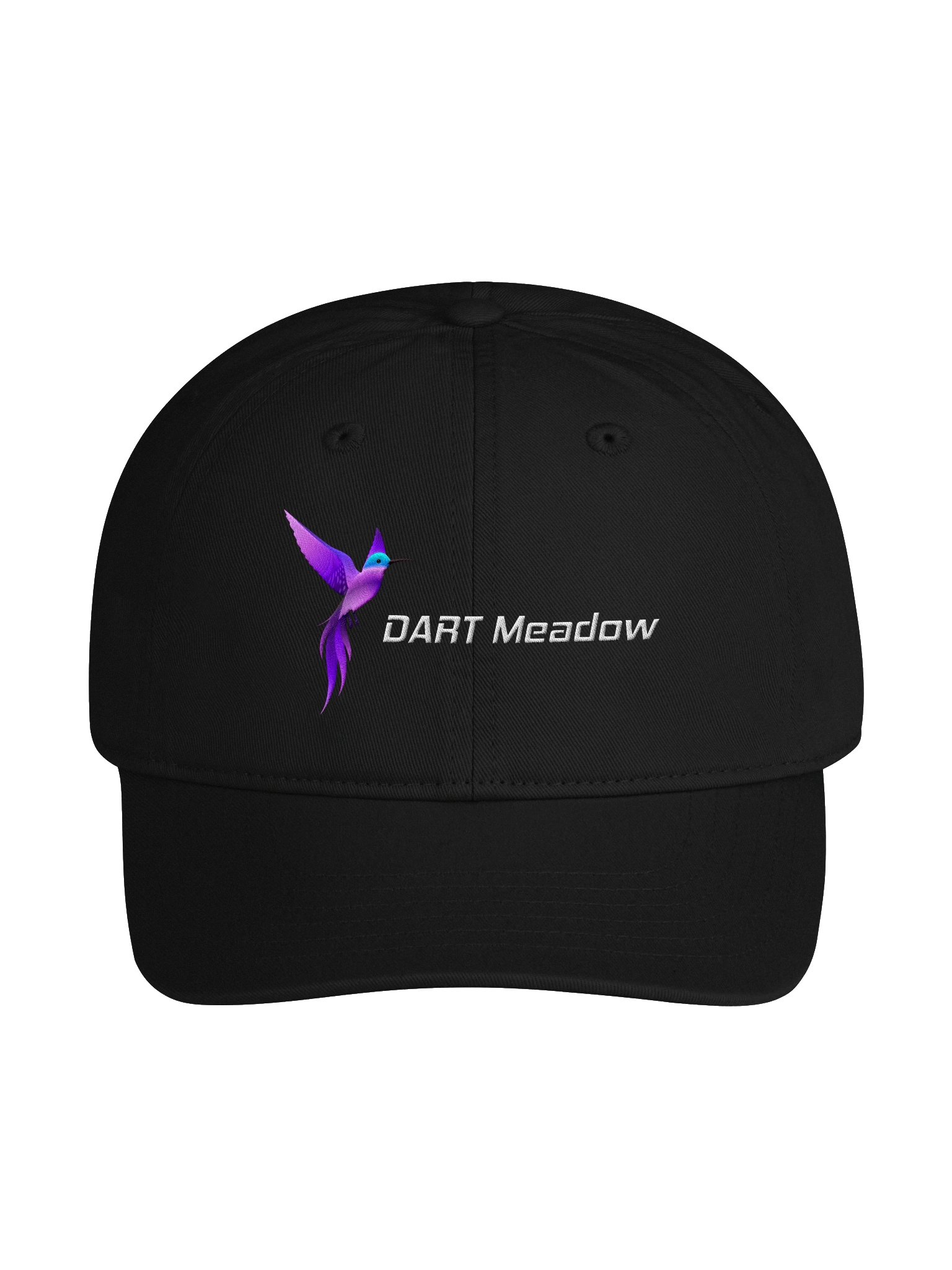 DART Workshop product image (1)