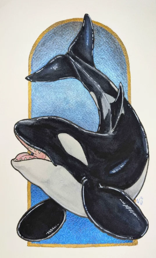 Orca Blue & Gold product image (1)