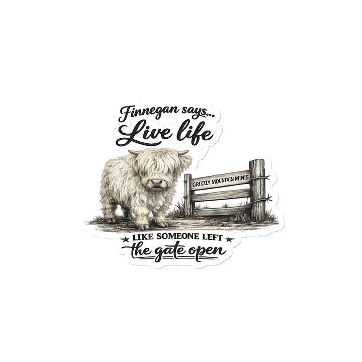 Finnegan Says… Live Life Magnet Collection product image (2)