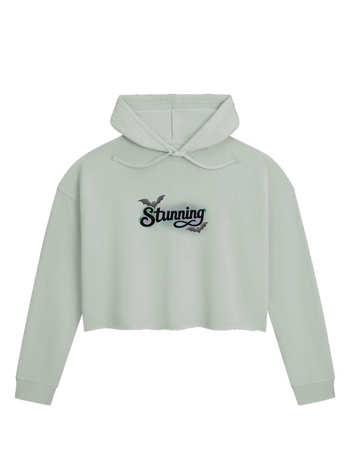 Stunning - Black Front Logo Cropped Hoodie product image (5)