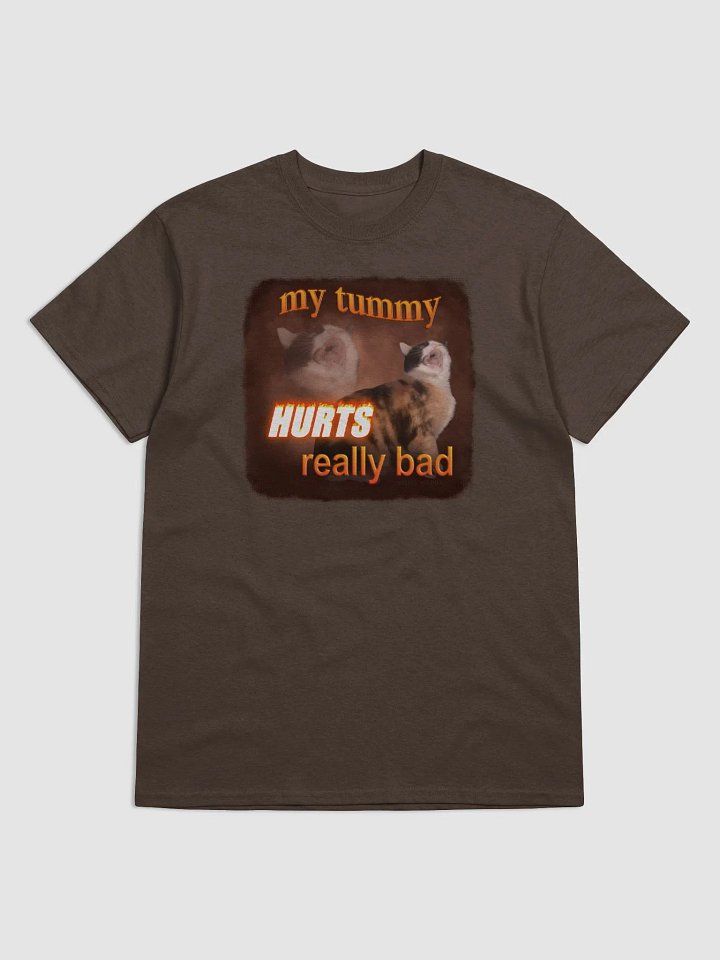 My Tummy Hurts Really Bad - Cat T-shirt product image (1)