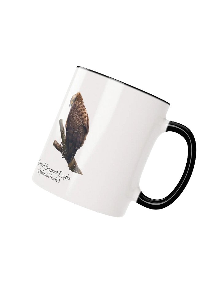 Crested Serpent Eagle mug product image (12)