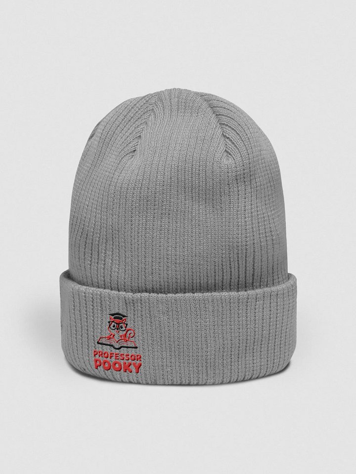 Organic Cotton Embroidered Beanie: Professor Pooky product image (2)